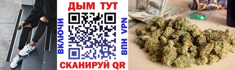 Продажа наркотиков Питкяранта KRAKEN сайт  Меф мяу мяу  Гашиш  Alpha PVP 