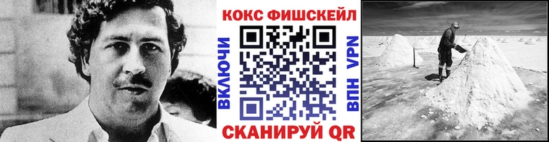 KRAKEN маркетплейс  Питкяранта  КОКАИН Fish Scale 