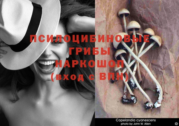 марихуана Новокубанск