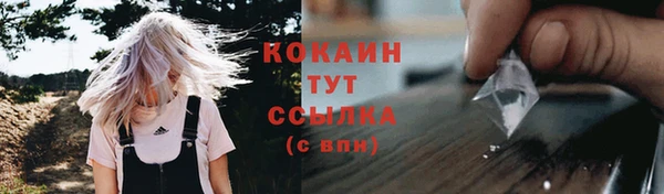 трава Новозыбков