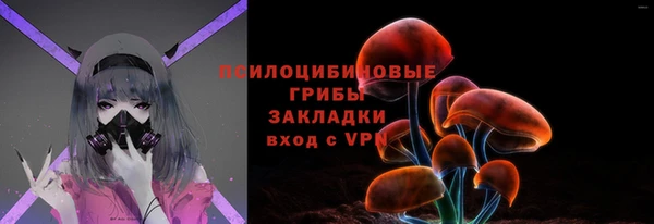 трава Новозыбков