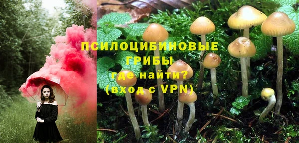 трава Новозыбков